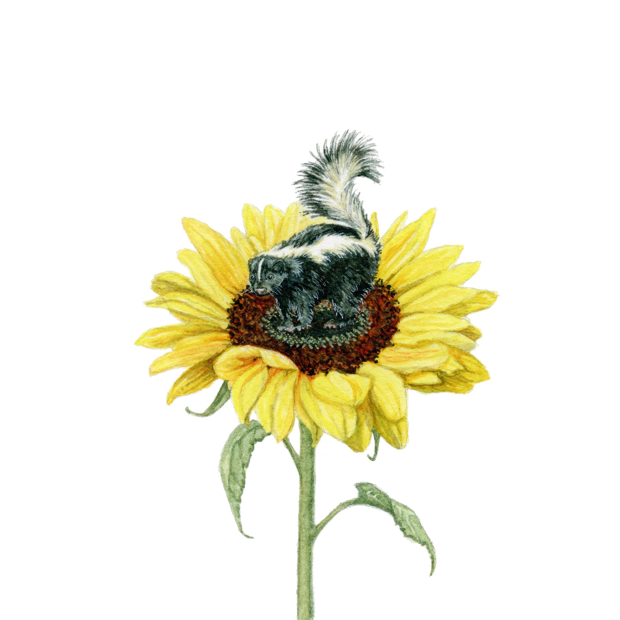 Smell The Flowers