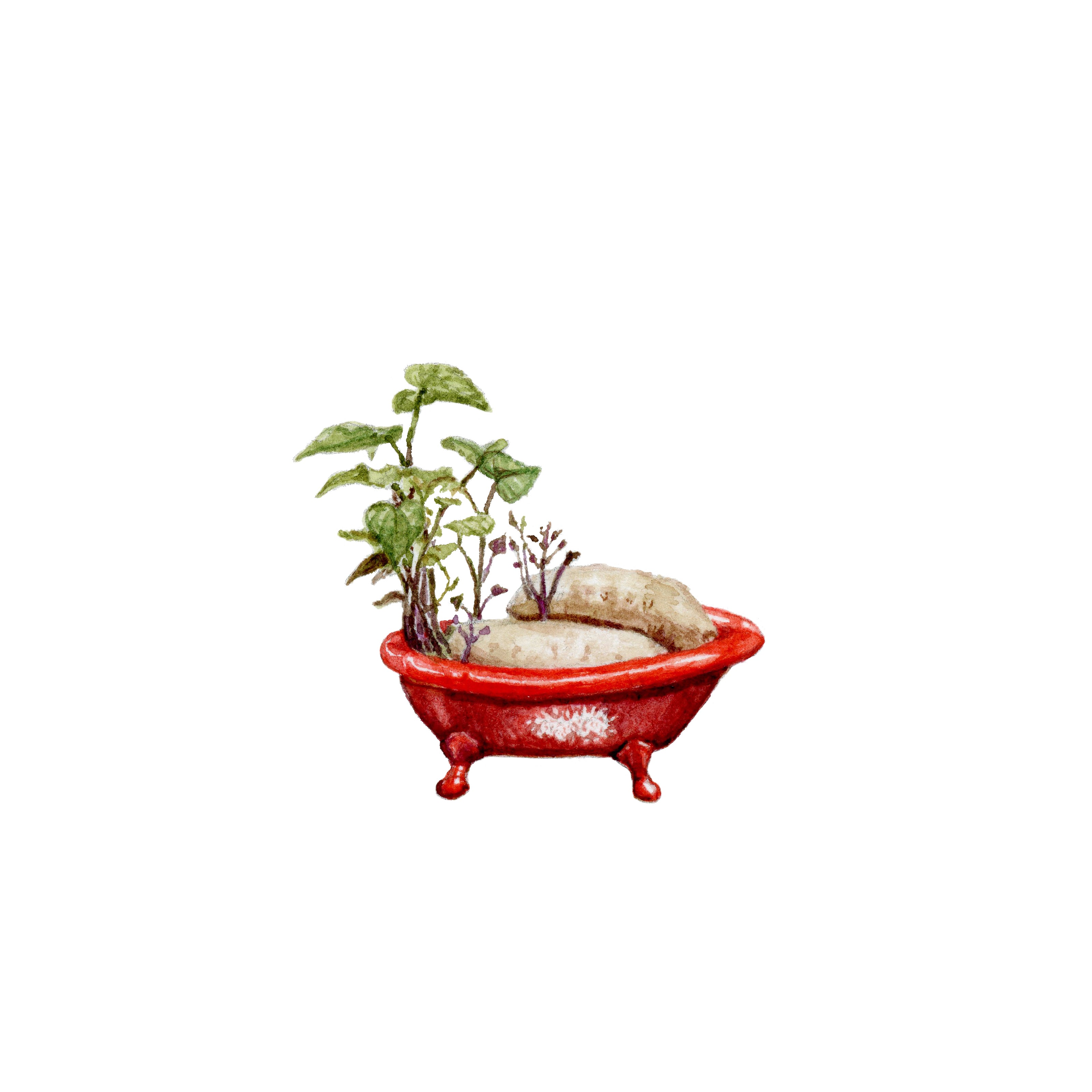 Spud Bath