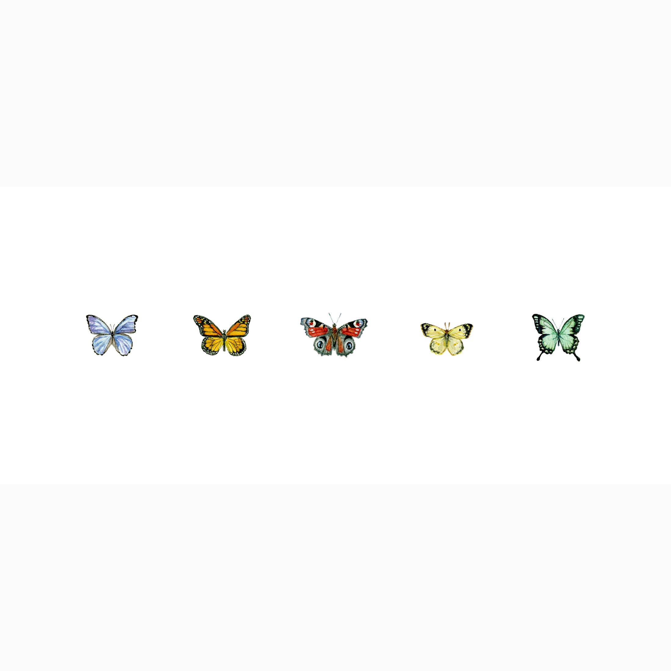 BUTTERFLIES