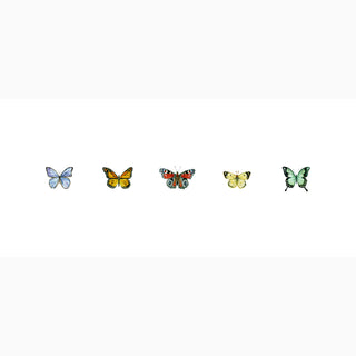 BUTTERFLIES