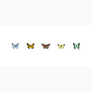 BUTTERFLIES