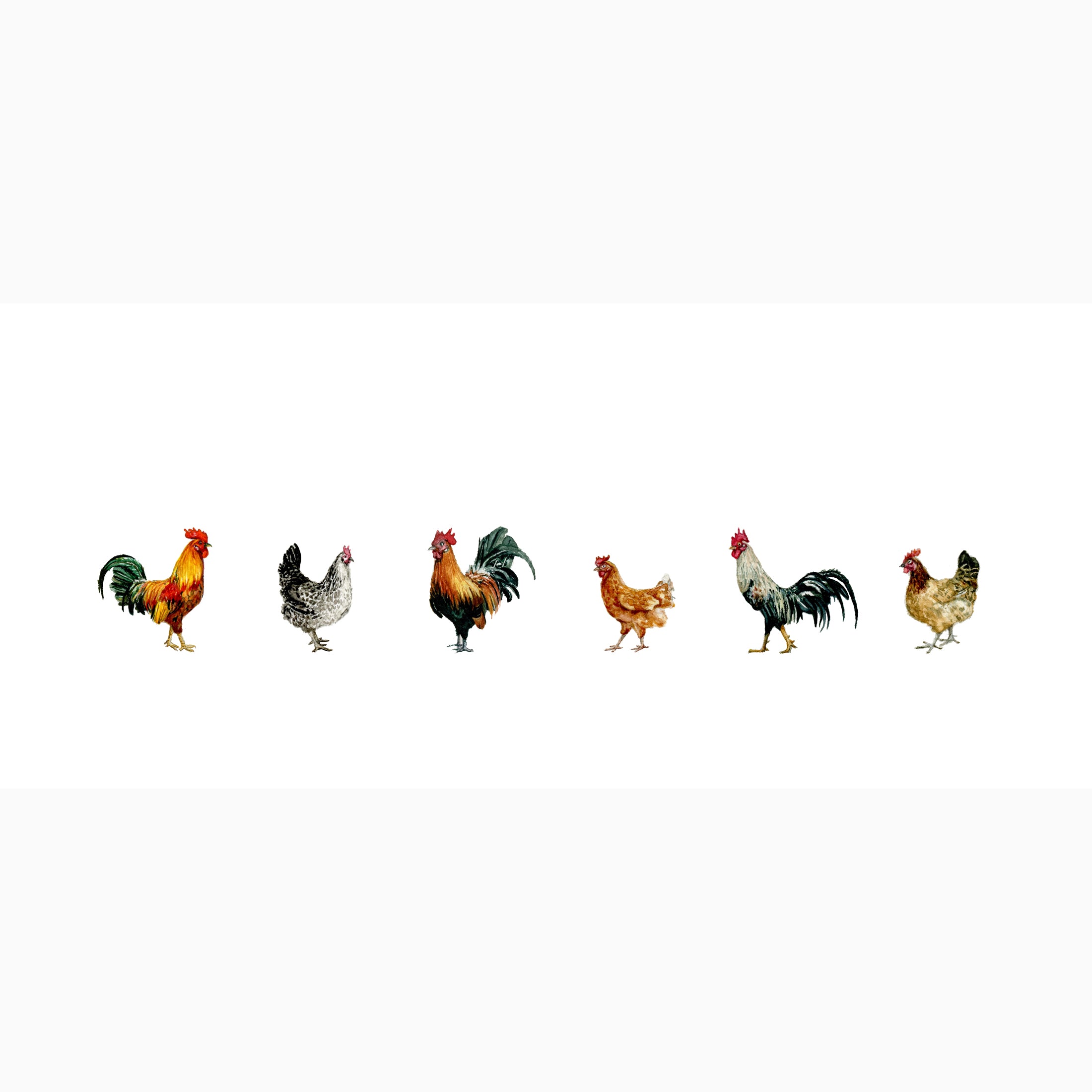 FARM BIRDS