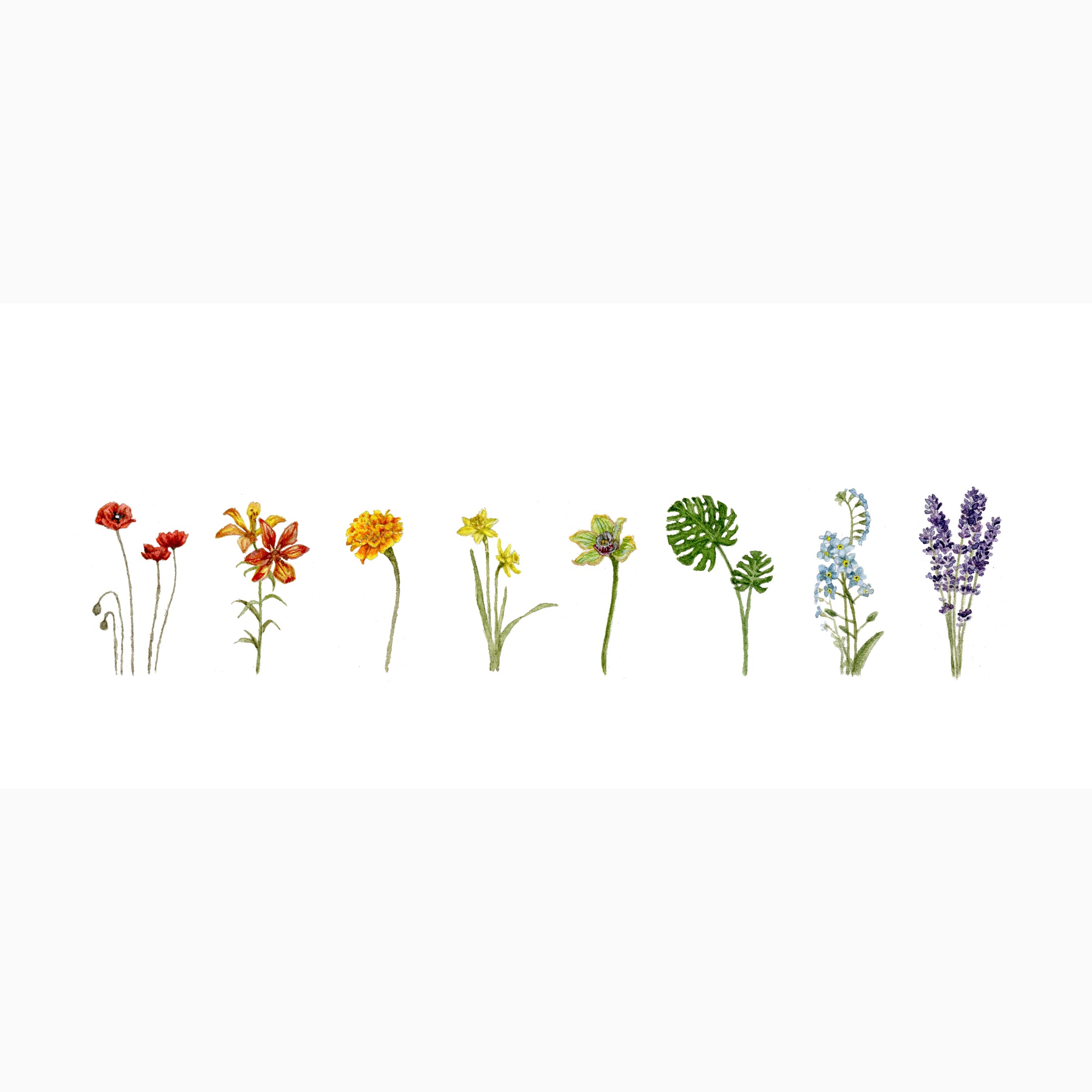 FLOWERFUL