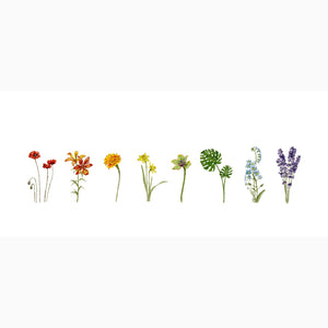 FLOWERFUL