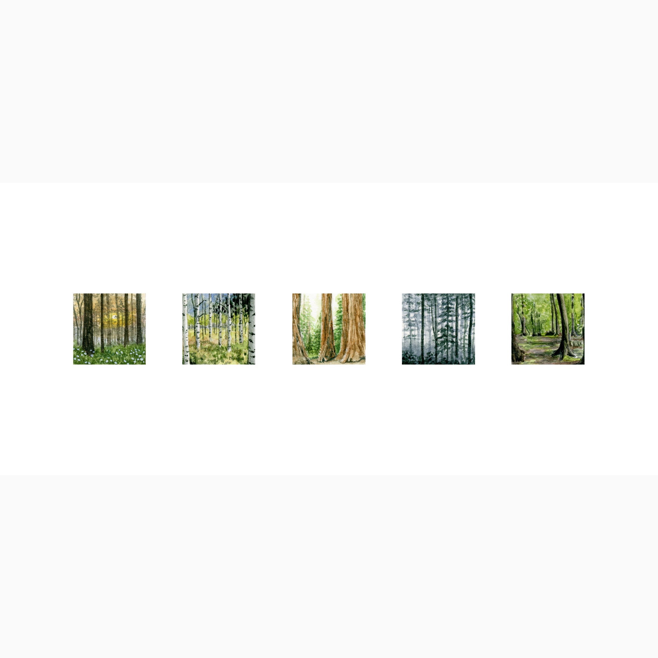 FORESTS