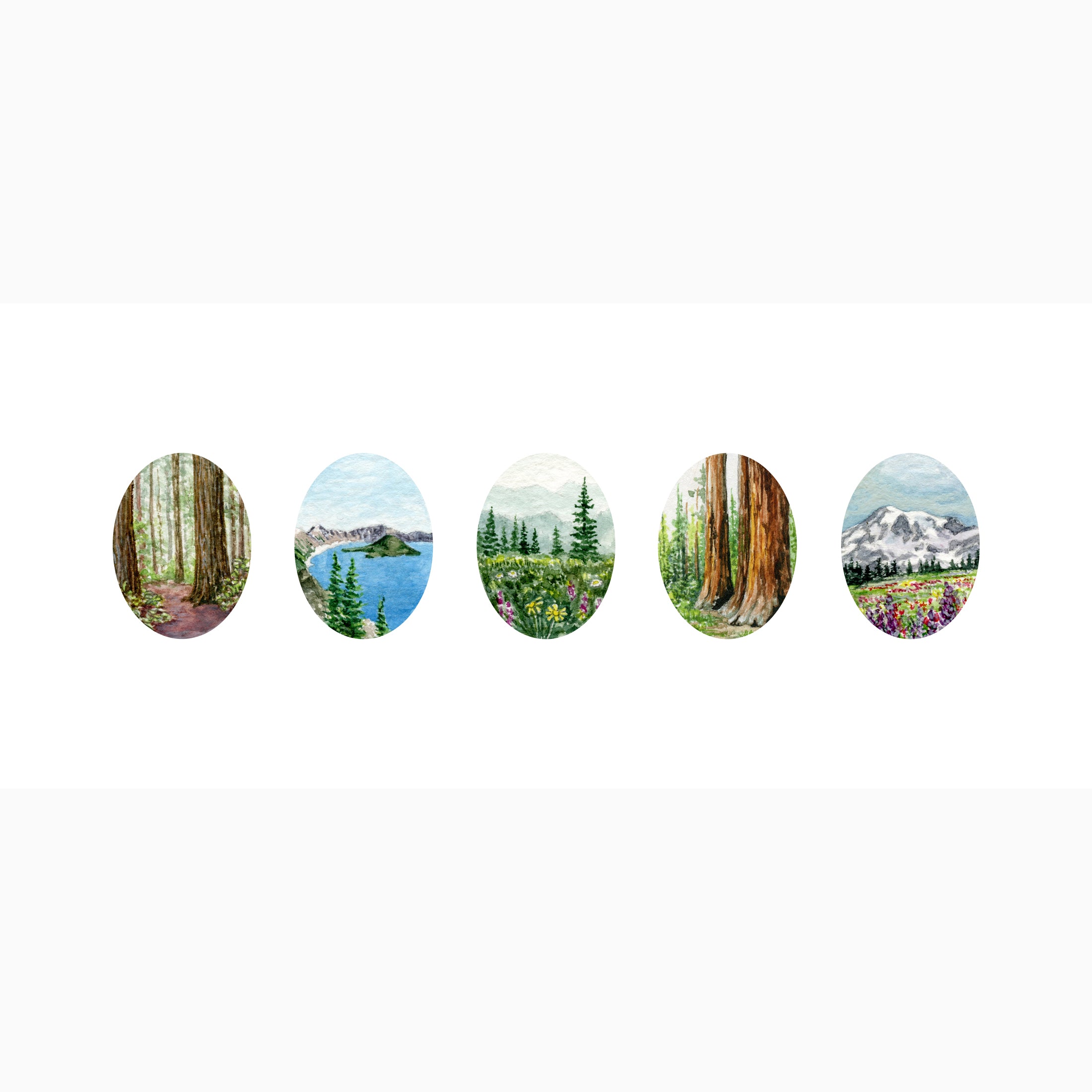 WEST COAST NATIONAL PARKS
