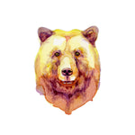 Load image into Gallery viewer, The Bear Behind The Curtain
