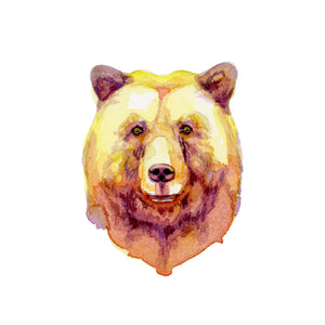 The Bear Behind The Curtain
