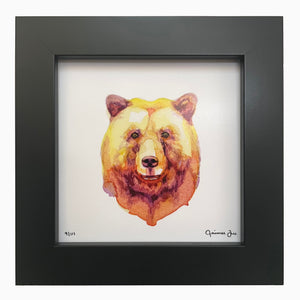 The Bear Behind The Curtain