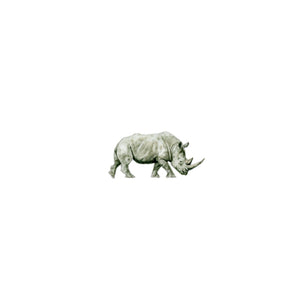 Tinoceros