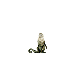 Who Goes There?