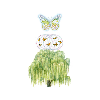 Willow Wisdom