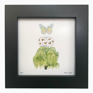 Willow Wisdom